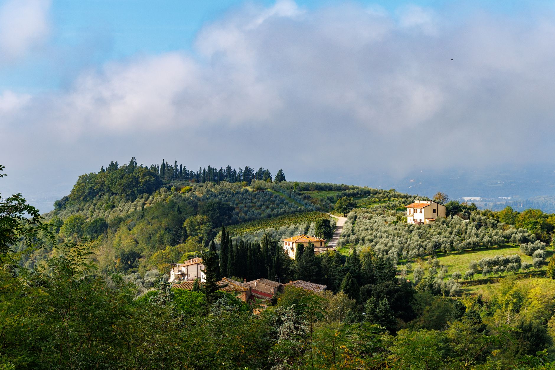 Tuscan stone farmhouse among olive groves