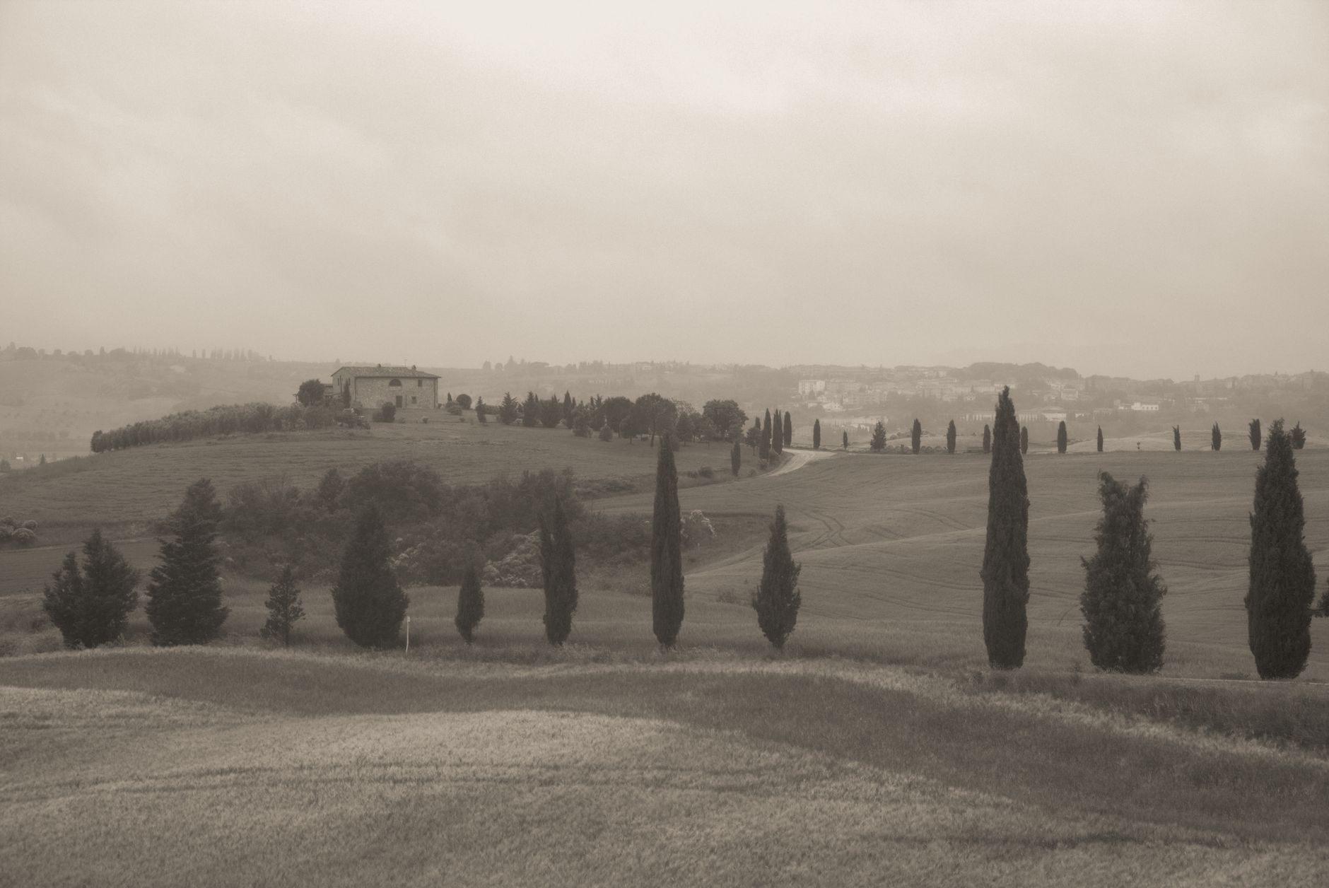 Stone courtyard and cypress trees in Tuscany Italy