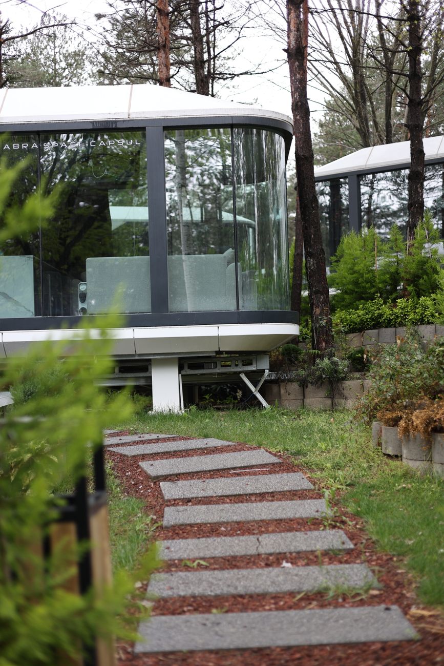 Minimalist glass pavilion surrounded by pine forest